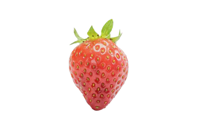 StrawberryScan（硕果鉴） featured image