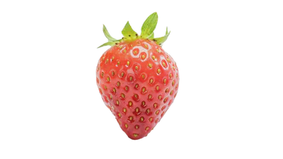 StrawberryScan（硕果鉴） featured image